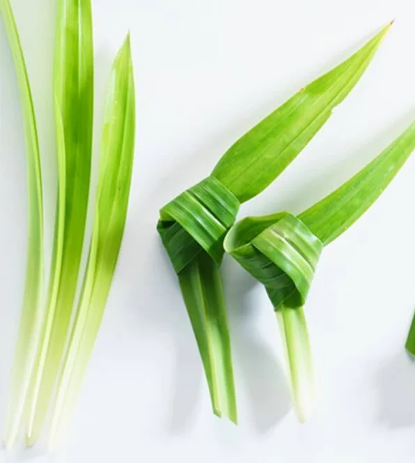 Поставщик высококачественных вьетнамских сушеных листьев панданов // порошок/2021 Ms Sofia + 84 789 946 878