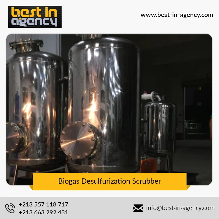 20~500 Nm3/H Biogas Flow Constant Pressure Feed to Generator Stainless Steel Biogas Desulfurization Scrubber