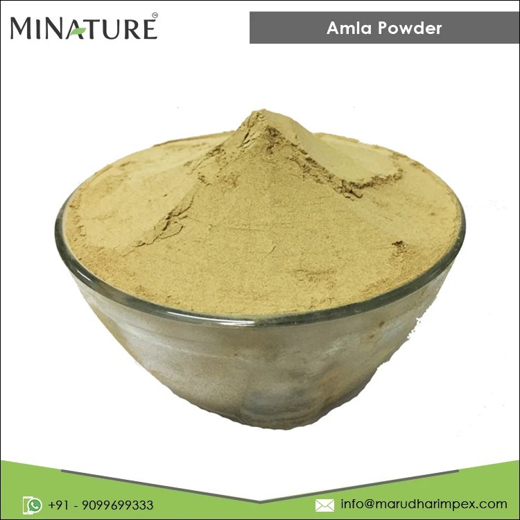 Good Quality Best Selling Widely Used 100% Pure and Natural Amla Powder from Trusted Manufacturer