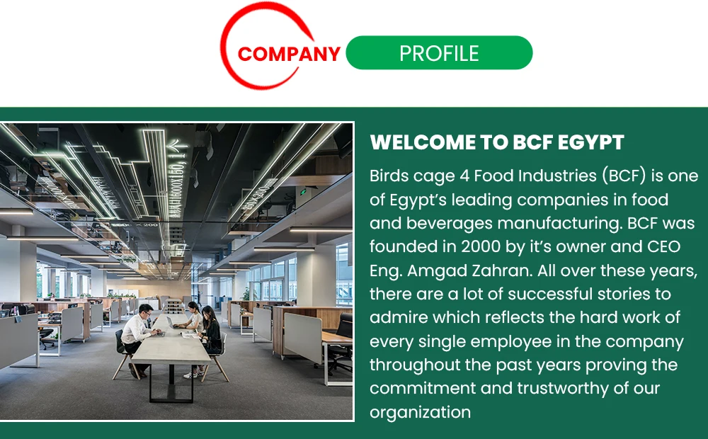 company-profile.jpg