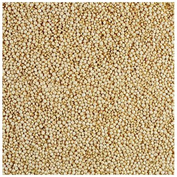 White Quinoa Seeds Health Care Supplements From India