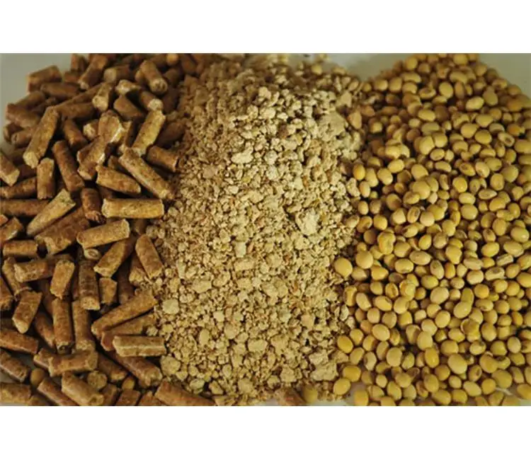 Corn Germ Meal,Corn Gluten Meal,Soybean