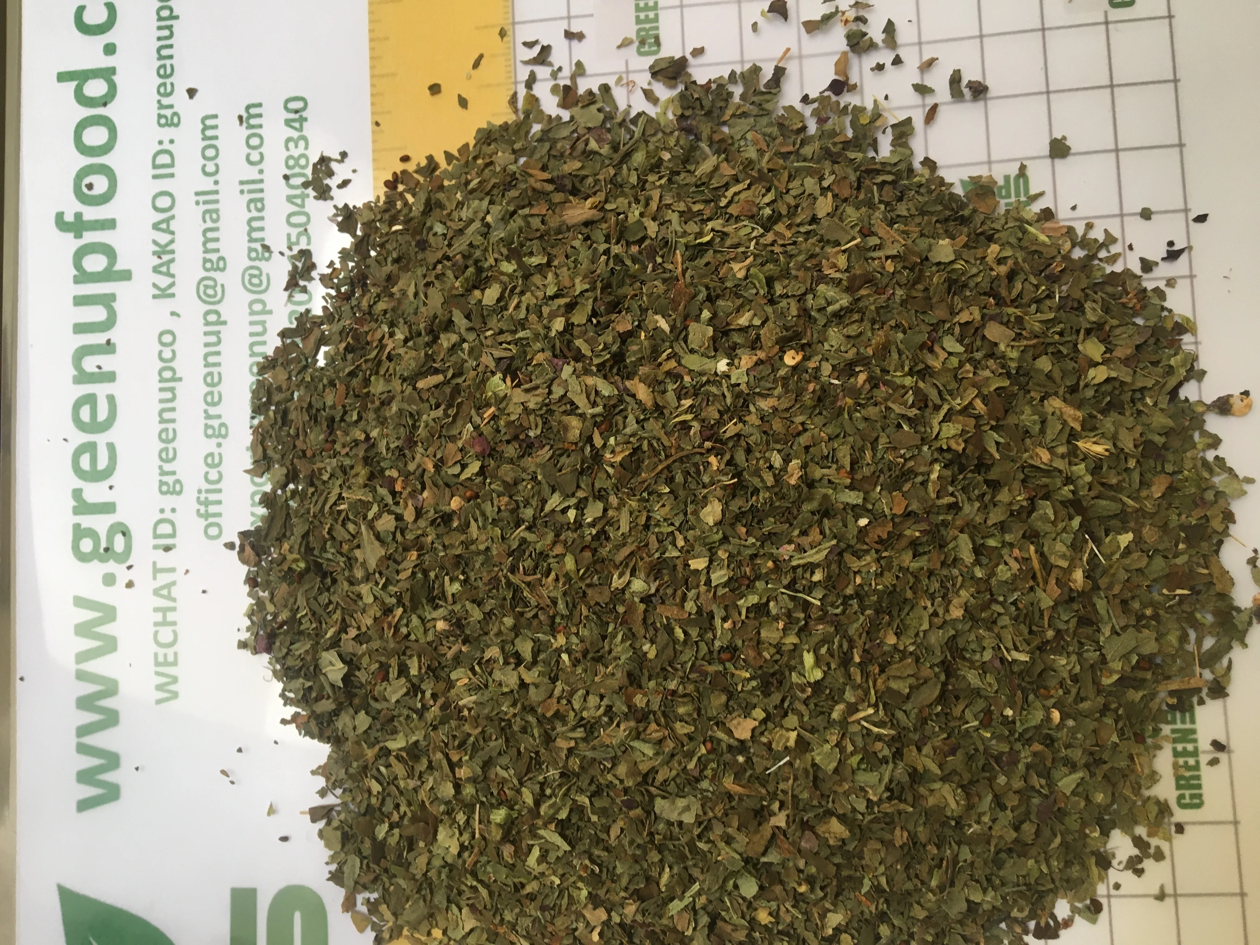 basil leaves green color no ash content no admixture no black leaves  no impurities Basilicum   high quality no stem fresh crops