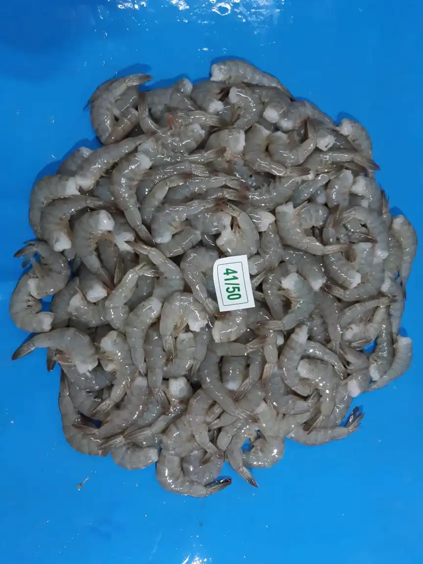 MOST POPULAR FROZEN HLSO VANNAMEI SHRIMP EXPORT INDIA SHRIMP HEAD LESS SHELL ON INDIAN SUPPLY SEAFOOD
