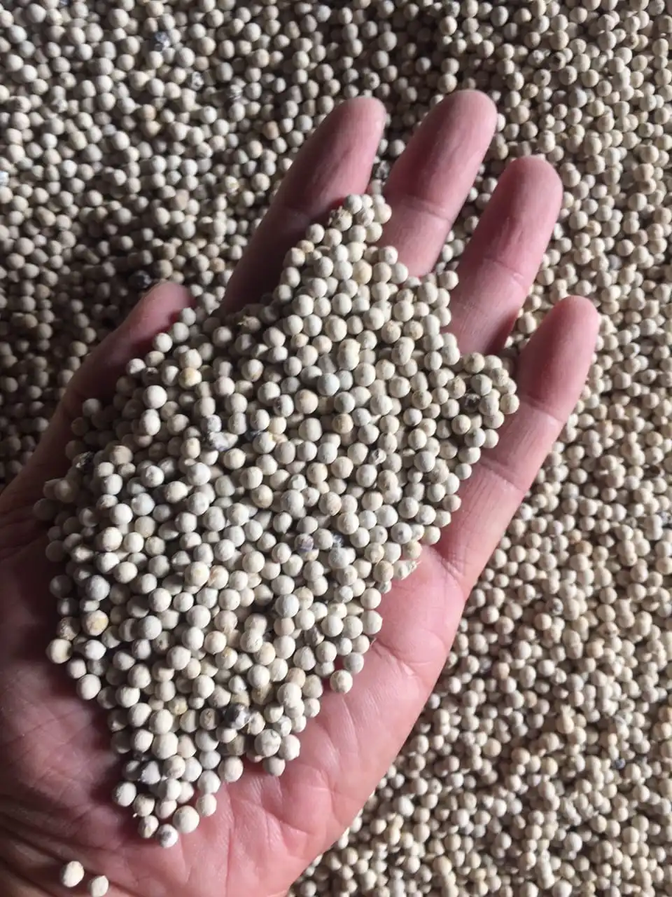 Перцовый перец 1 мм 2 3 черный легкие ягоды перец/перцовая лузга/специи OEM Массовая упаковка (+ 84986778999 David)