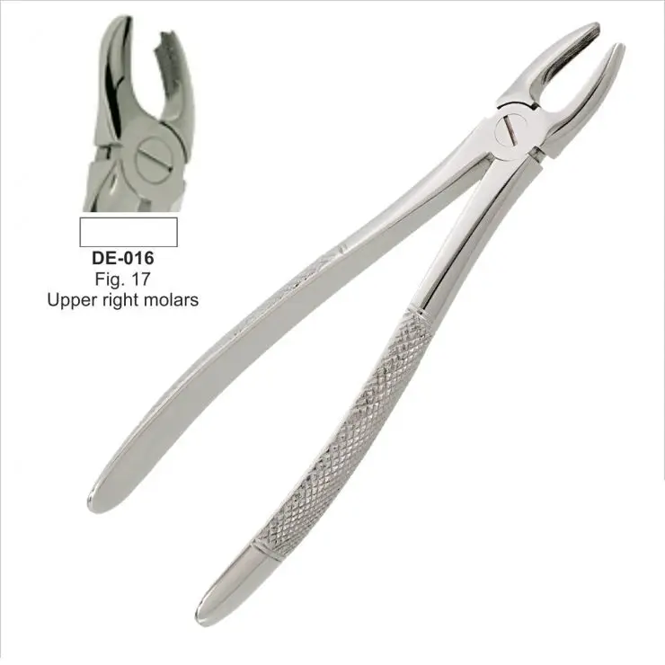
Best Quality Tooth Extracting Forceps Pointed Tips For Syndesmotome Upper Model 