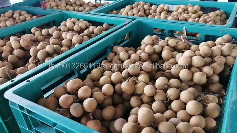 Golden Dried Longan Grade 2A Premium Quality Delicious dried Longan Best taste dried Longan Hot selling in Thailand