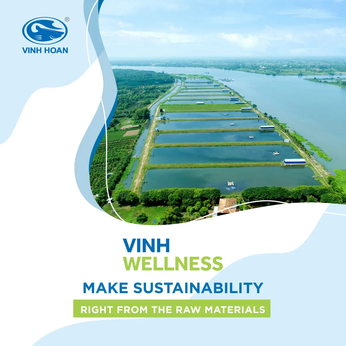 Competitive Price Collagen peptides powder, hydrolyzed fish collagen from top factory