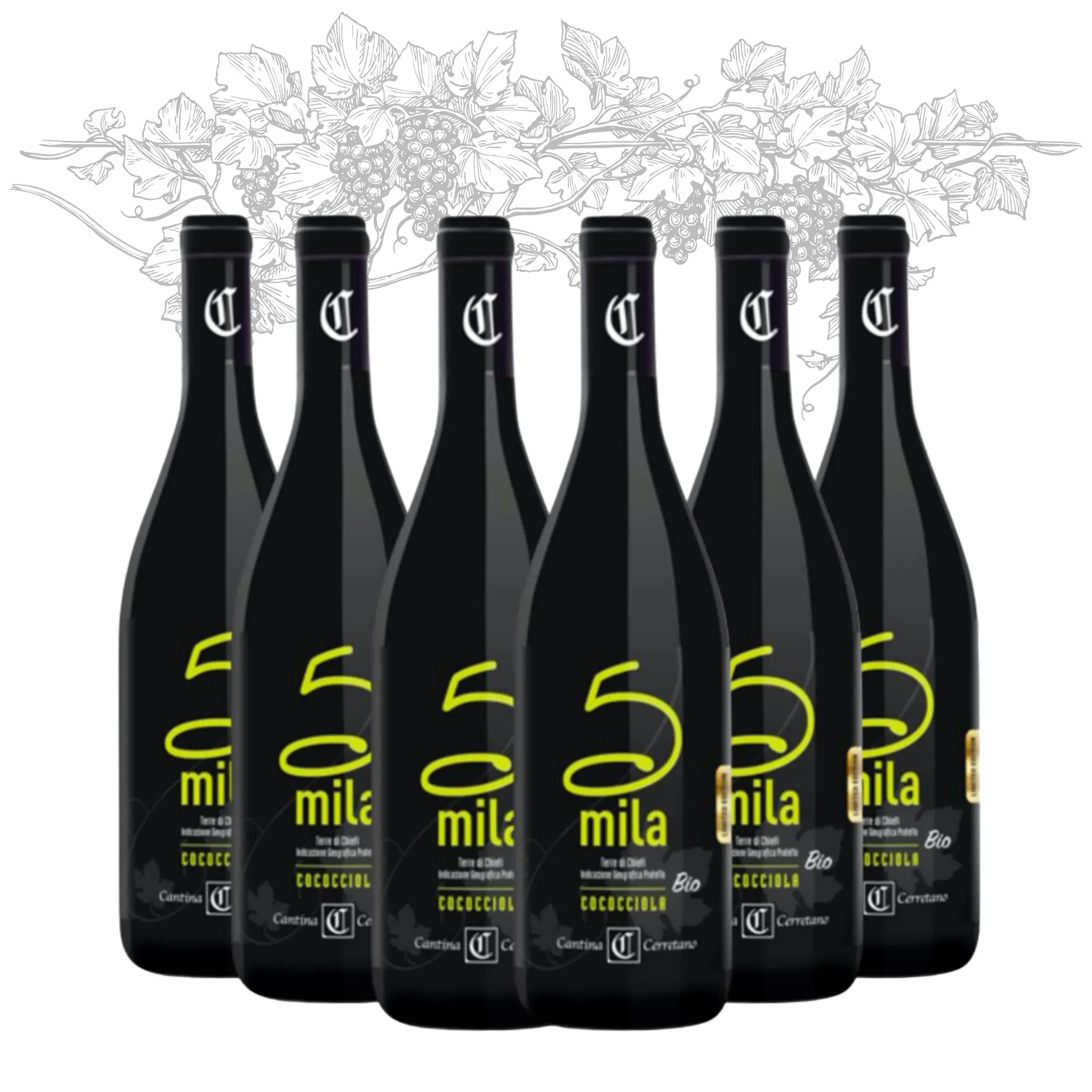 Premium Made in Italy White Wine - Cococciola Terre di Chieti Organic Vegan - Table Wine bottles 750 ml alcohol 12% for export