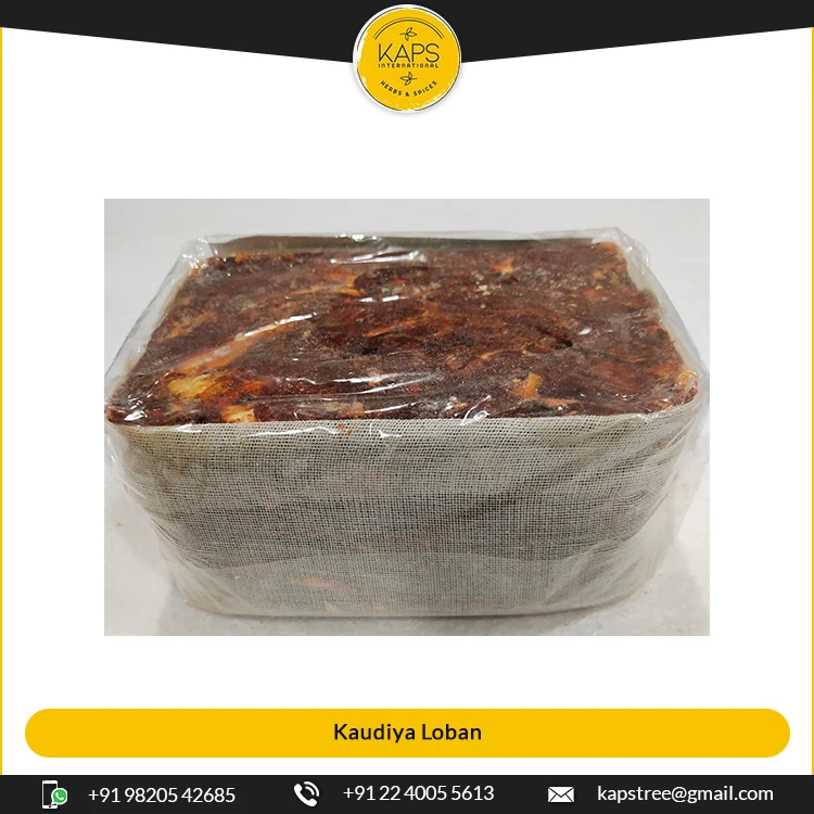Finest Quality Kaudiya Loban for Global Purchasers with Long Burning Time