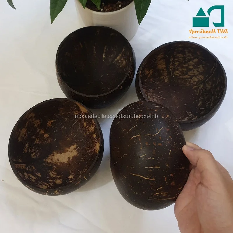 Coconut bowl shell special design wholesales customized package disposable dinnerware