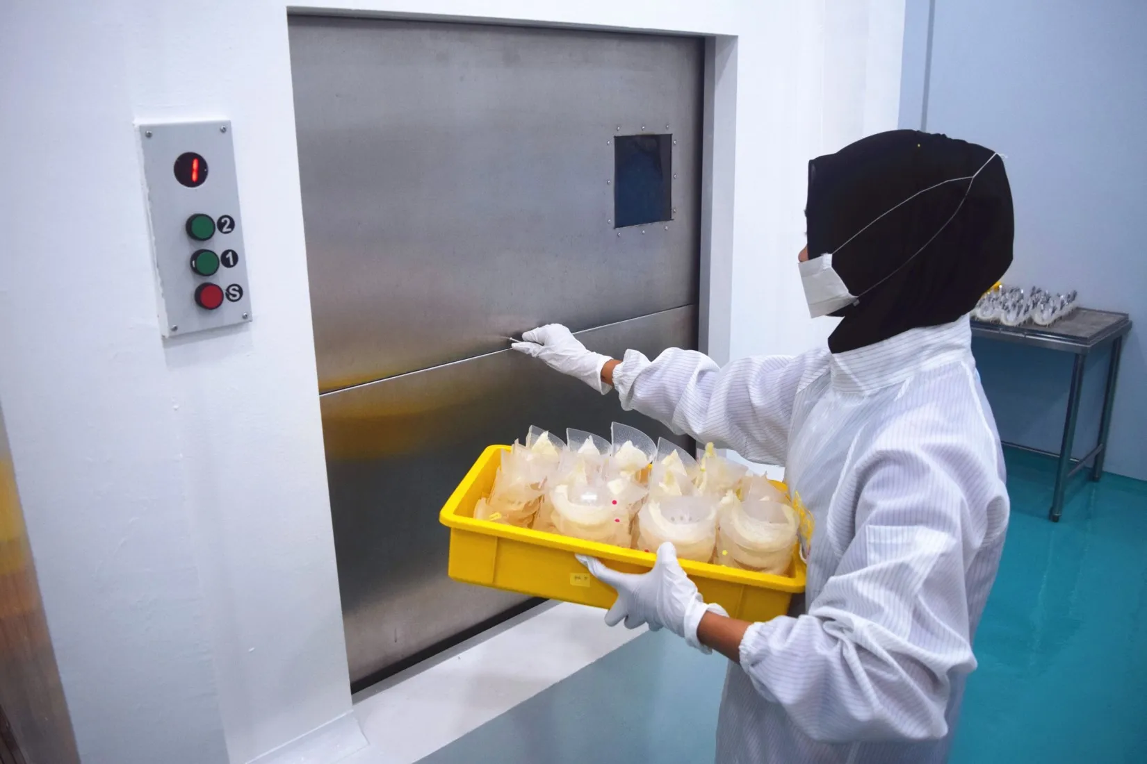  Верхняя Нижняя часть съедобного птичьего гнезда/кубилоза/да Янь Цзяо (гудок)