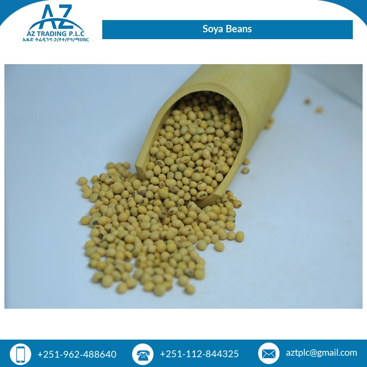 Свежая стильная Высококачественная соевая фасоль для обычного культивирования ручная сборка эфиопийский крем от надежного поставщика