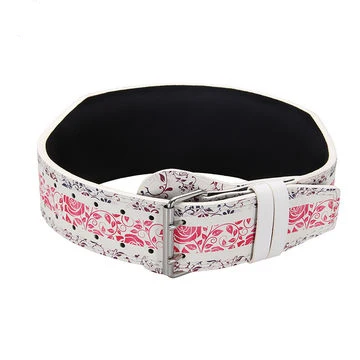 Hot Selling Gym Belt Weight Lifting Cowhide Leather Gym Weight Lifting Lever Buckle Powerlifting Belt Sweat Belt