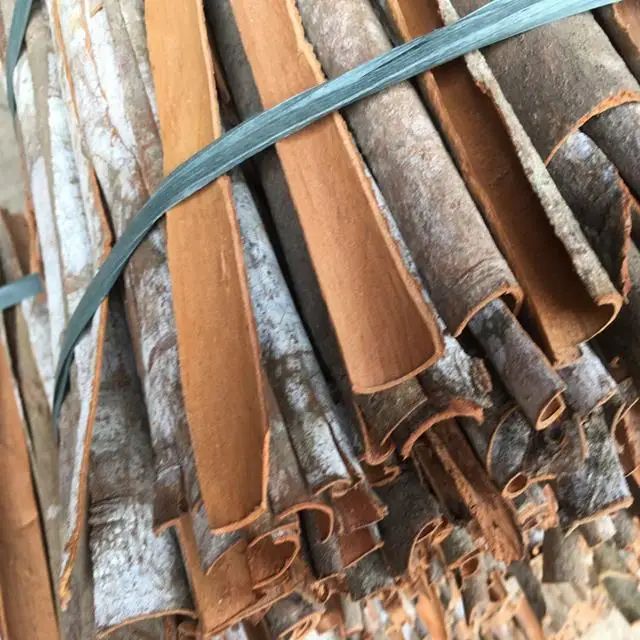 
High Quality Premium Grade Cinnamon/Cassia Split 