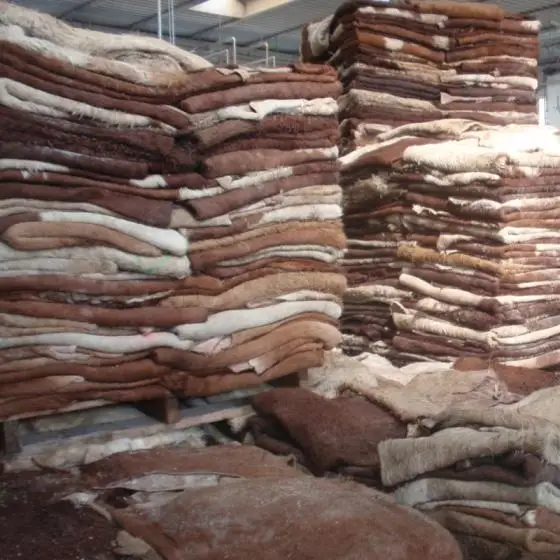 
Wet And Dried Salted Cow Leather 