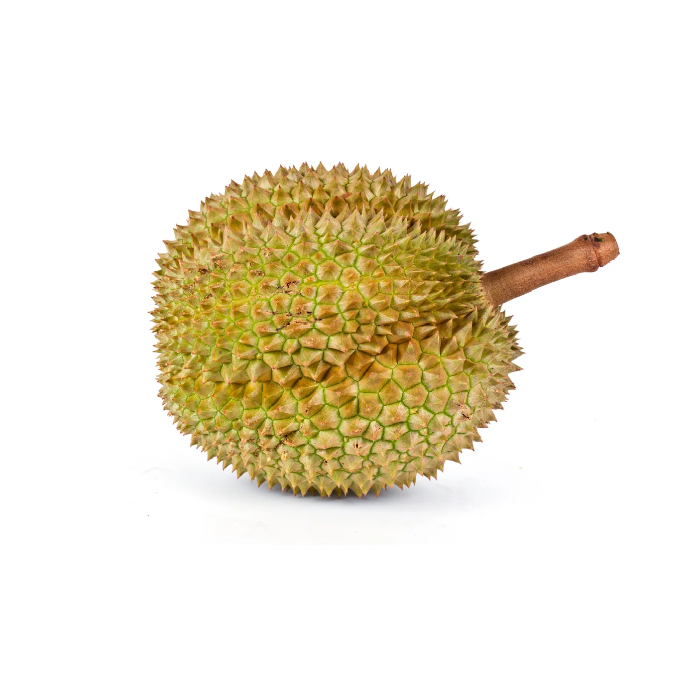 Malaysia Manufacture Good Price Wholesale Fresh Durian Musang King Durian Whole Fruit Frozen Top Quality