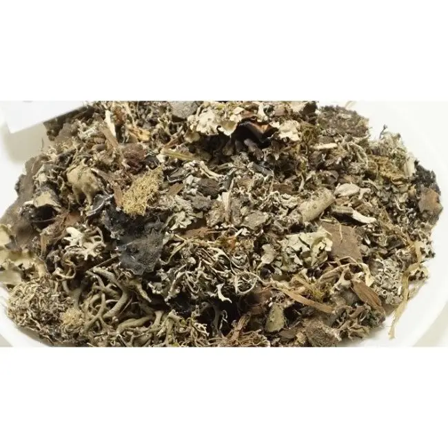 
Stone Flower / Charila 