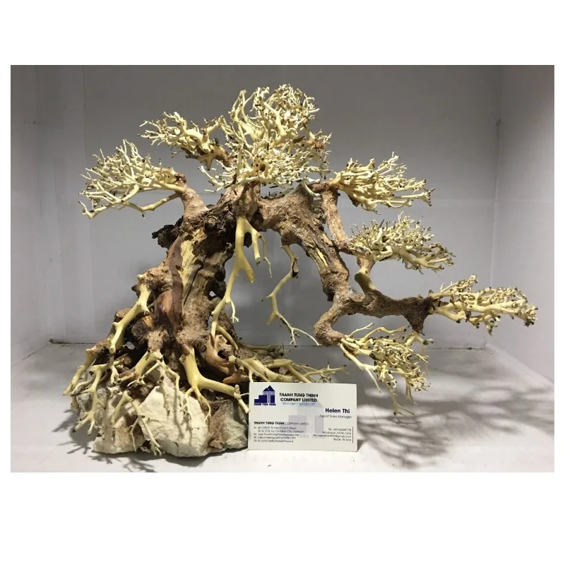 2024 Топ оптом бонсай коряги для аквариумных украшений WhatsApp: + 84 961005832