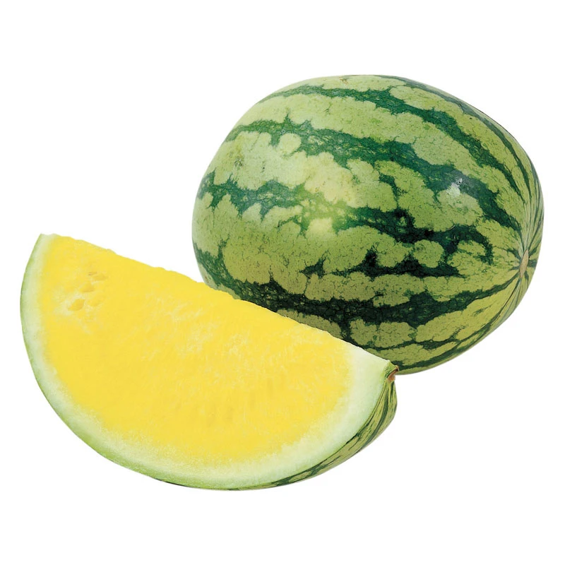 
HIGH QUALITY FRESH YELLOW WATERMELON 