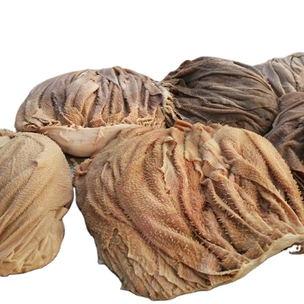 Specialized in Processing of Buffalo Omasum