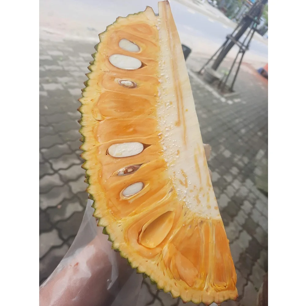 Высококачественный сладкий и вкусный сок, концентрат сиропа, фруктовый сок, напиток