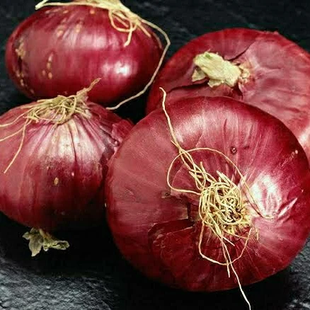 
Red Onion From India 