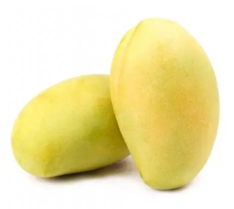 New Crop 2022 IQF Frozen Mango Keo Origin Viet Nam Tropical Fruits Sweet Taste Bulk Quantities Available For Export
