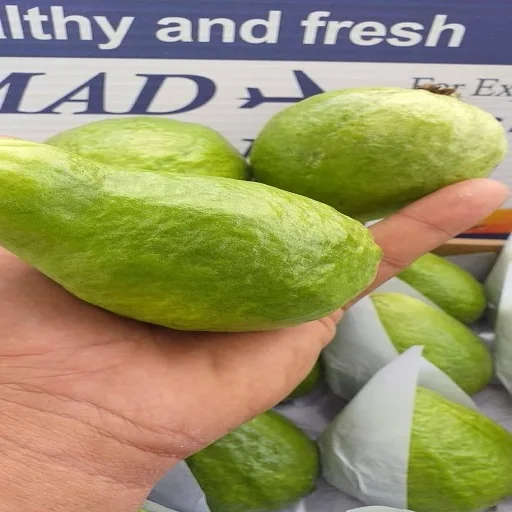 
fresh Egyptian guava 