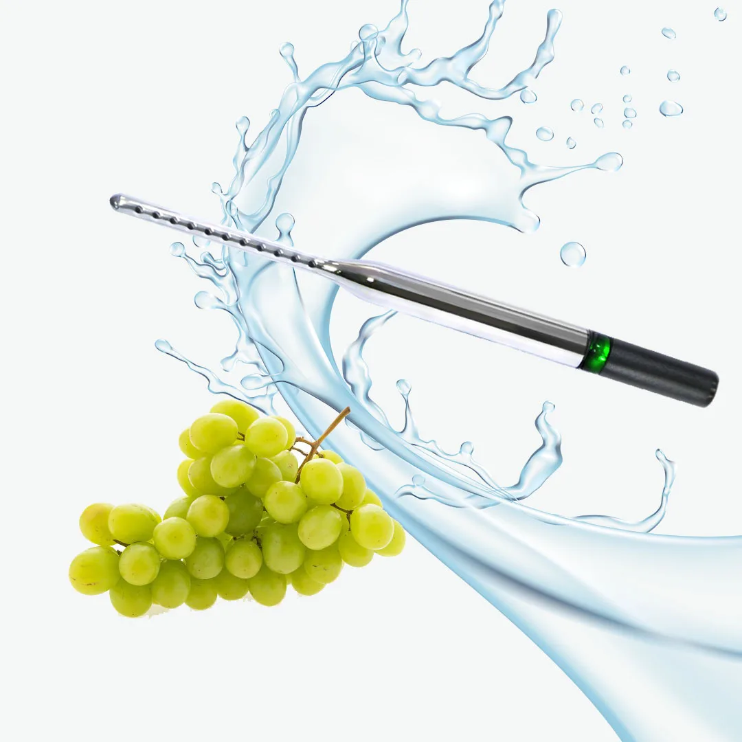 OEM ODM Fruit vegetable washing portable disinfection spray apply ozonio ozone generator water sterilizer machine