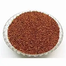 Top grade wholesale red sorghum grains sorghum good price