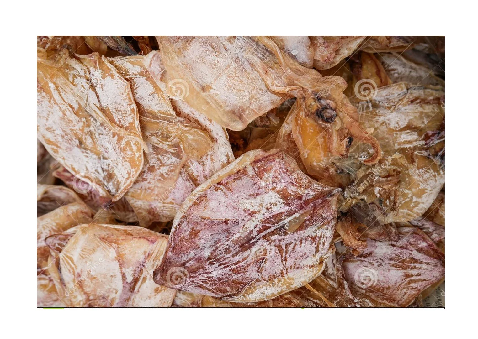 Dried Squid - High Quality and Best price  // Rachel: +84896436456