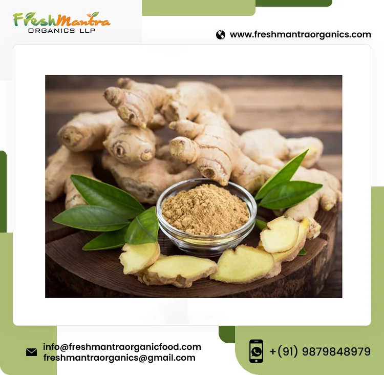 100% Natural Ginger Powder With No Added Preservatives Buy At Minimal Price