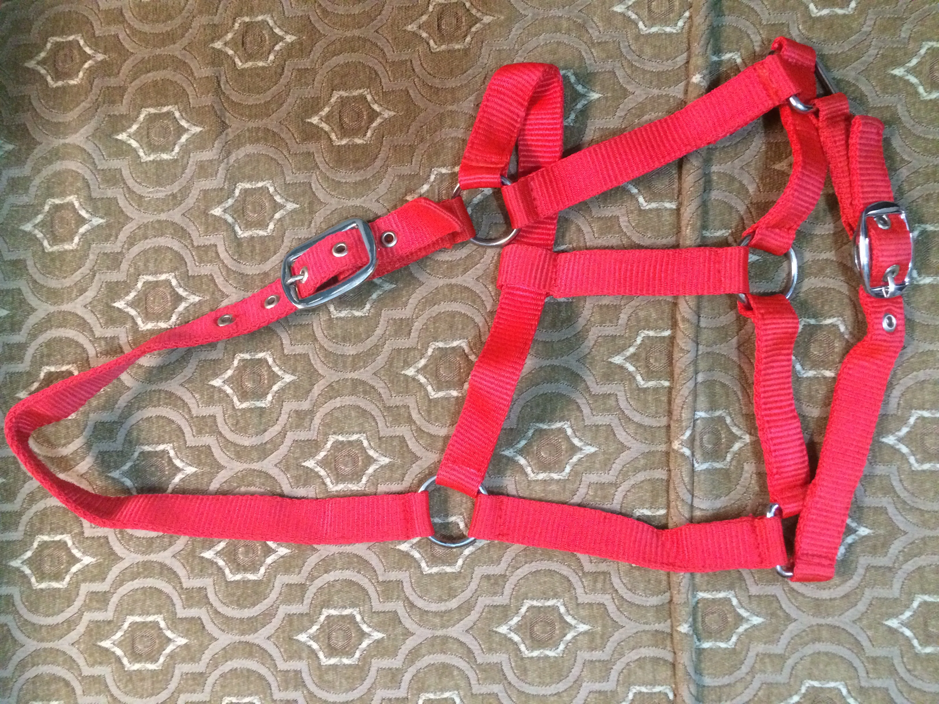 English & Western Saddle Horse Halter Nylon Material with PP & Leather Various Styles Available