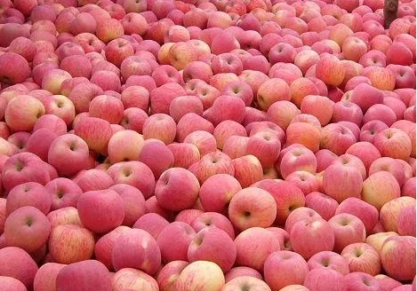 
Fresh Fruits and Vegetables 