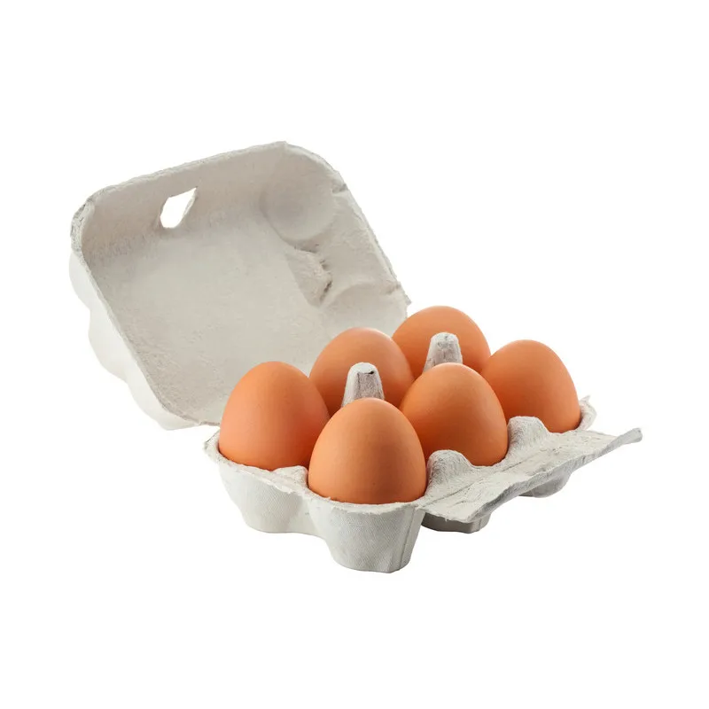 Fresh Chicken Table Eggs Brown and White Shell Chicken Eggs for sell