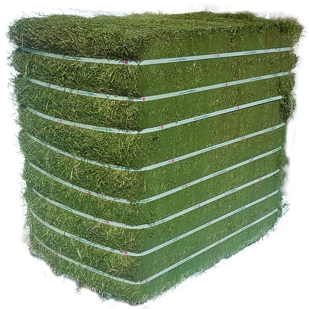 Alfafa Hay Animal Feeding Stuff Alfalfa hay/alfalfa hay pellets Timothy Hay/ in Bales Best Super Top