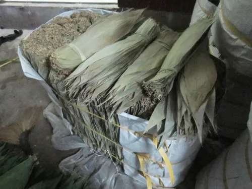 NATURAL DRIED BAMBOO LEAVES FROM VIETNAM // TERESA WHATSAPP +84971482716