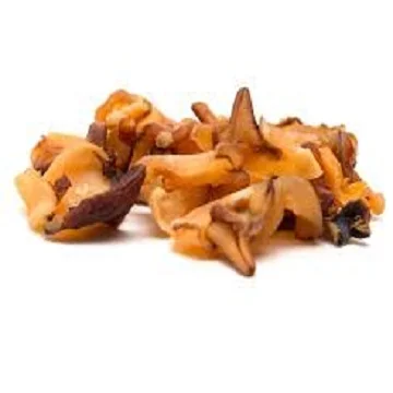 Wholesale Frozen Conch Meat ,Yellow conch Meat