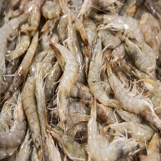 
Good Quality No Red Meat Frozen Vannamei Prawns Shrimp 