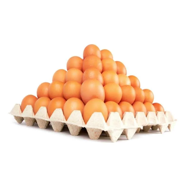Edible Chicken Fresh Brown/ White Eggs