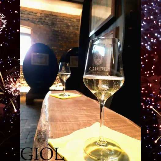 Premium Quality Italian Organic Prosecco Sparkling Wine 75 Cl for Aperitif and Dine