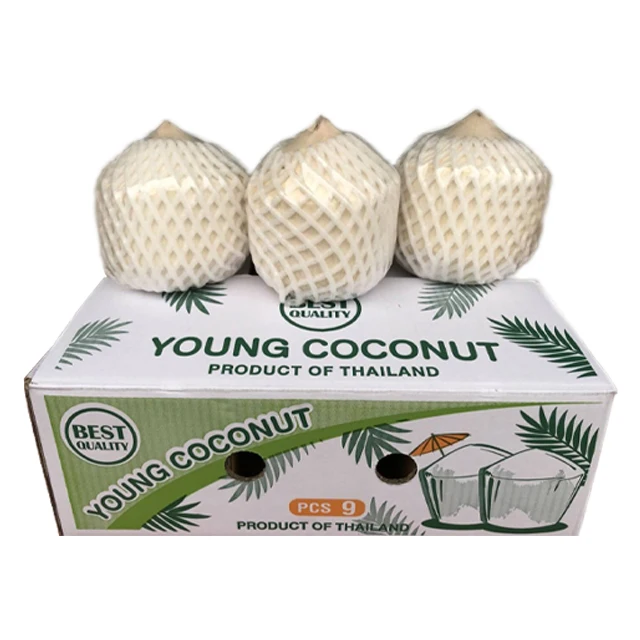 Most Trustworthy Manufacturer Fresh fruit young coconut Natural Drinks Product of Thailand