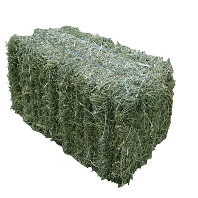 Organic Alfalfa Hay/Alfalfa Grass Hay/Alfalfa Hay Pellets For Animal Feed for sale