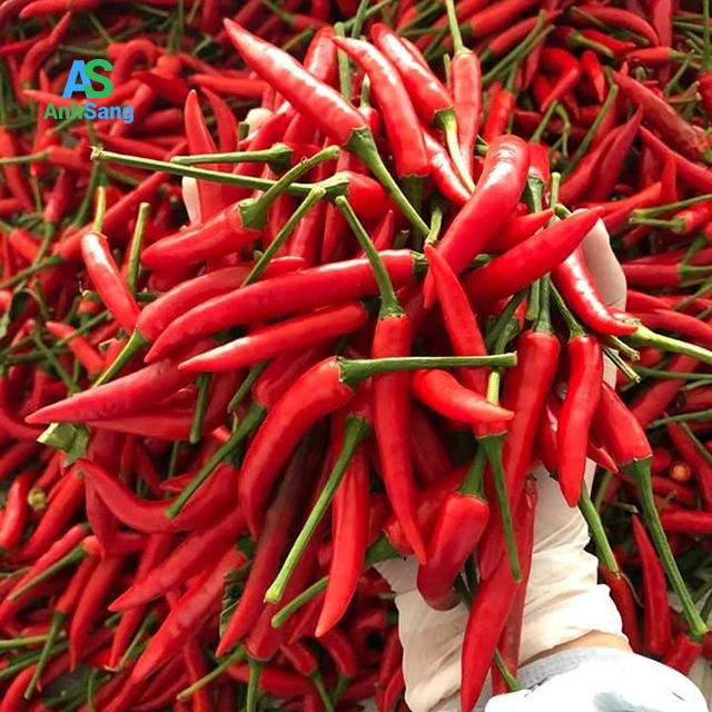 
Good Quality Fresh Chili Keep For A Long Time 