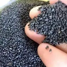  Производитель орехов и семян/семян базилика для напитков из Вьетнама // LANI + 84969331308