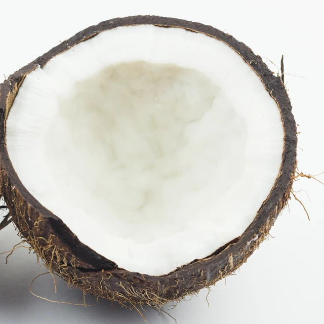 High Quality Dry Copra 100% Pure Coconut