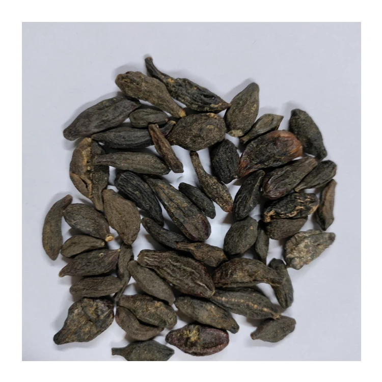 Wide Selling Pure Grade Himej Terminilia Chebula Yellow Myrabolan for Bulk Buyer