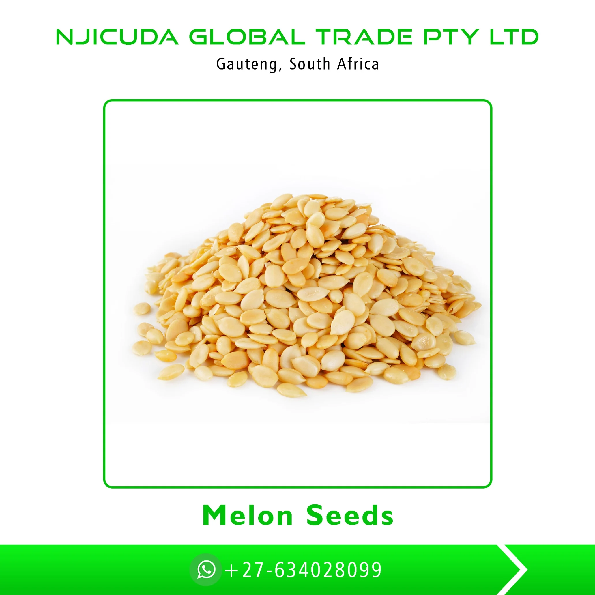 Best Quality Pure Cleaned Melon Seeds for Sale