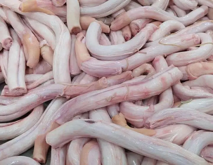 BQF Wholesale Frozen Beef Pizzle Frozen Beef Pizzle Frozen Bull Pizzle